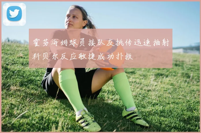 霍芬海姆球员接队友挑传迅速抽射科贝尔反应敏捷成功扑救