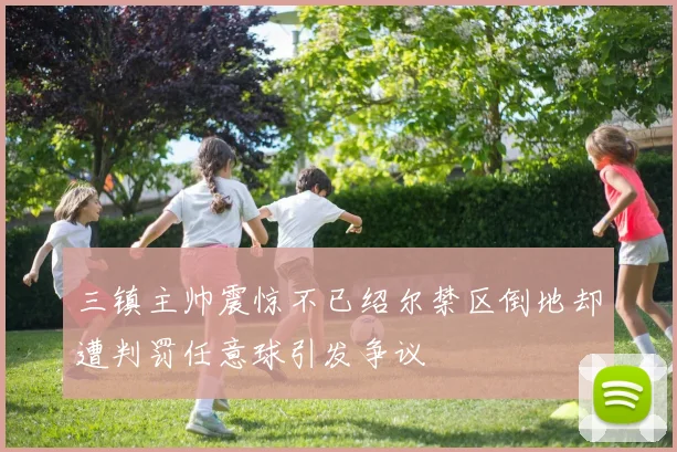 三镇主帅震惊不已绍尔禁区倒地却遭判罚任意球引发争议
